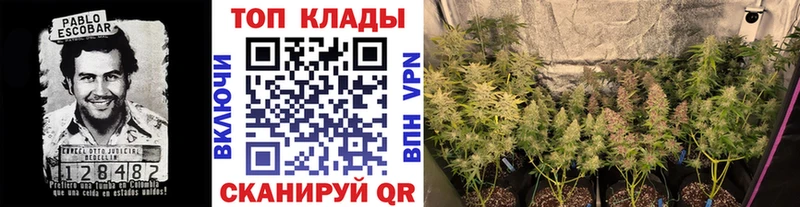 Где продают наркотики Петухово Каннабис Альфа ПВП Гашиш omg вход Меф Галлюциногенные грибы